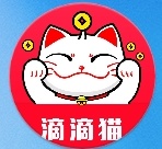 滴滴猫贷款怎么样？审核晚上放款吗