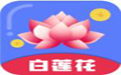 白莲花贷款:审核放款快,大圣系列小公爷同款