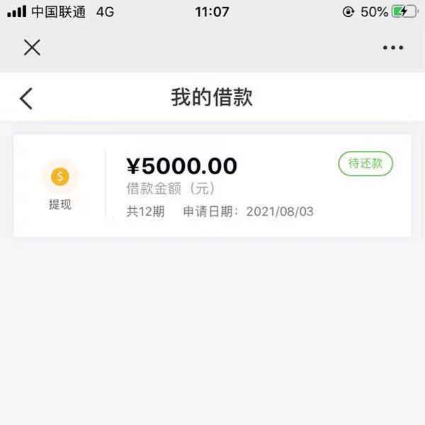 微信除了微粒贷还有什么可以借钱，微信借钱平台大全