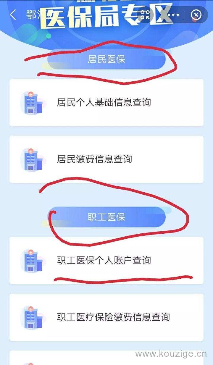 医保查询个人账户明细怎么查（医保缴费明细查询）-7