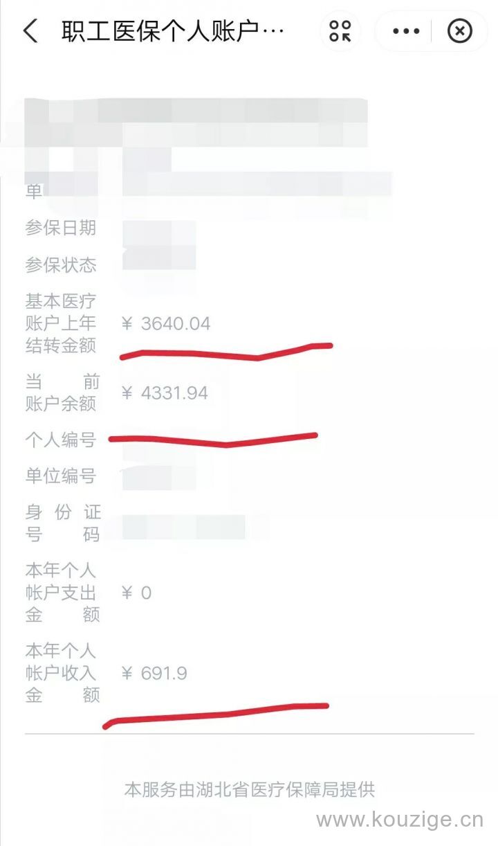 医保查询个人账户明细怎么查（医保缴费明细查询）-10